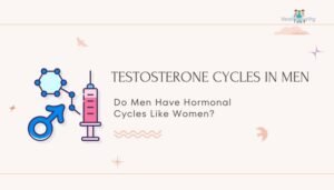 Testosterone Cycles in Men: Do Men Have Hormonal Cycles Like Women?